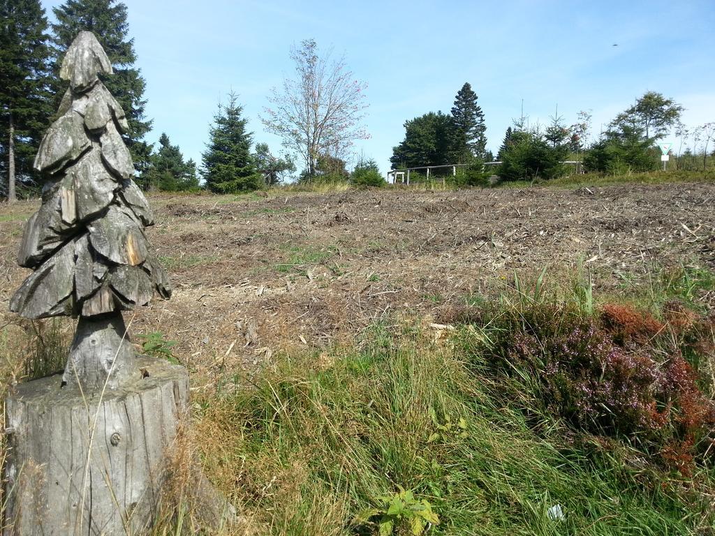 Landhaus Luis Apartment Winterberg